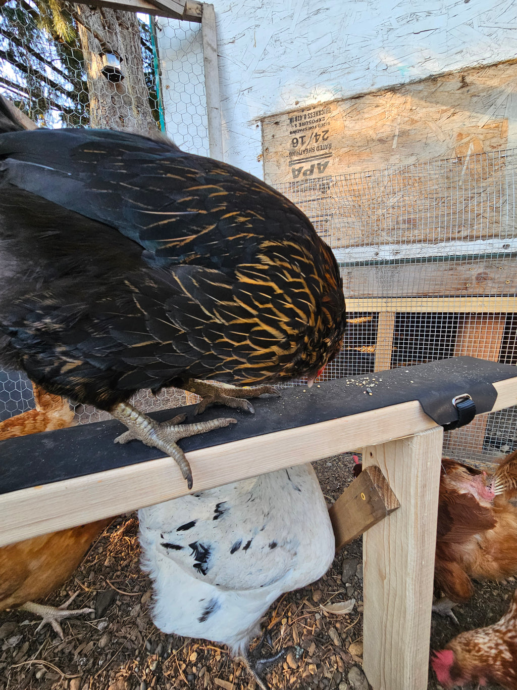 Roosting Bar Cover/Protector