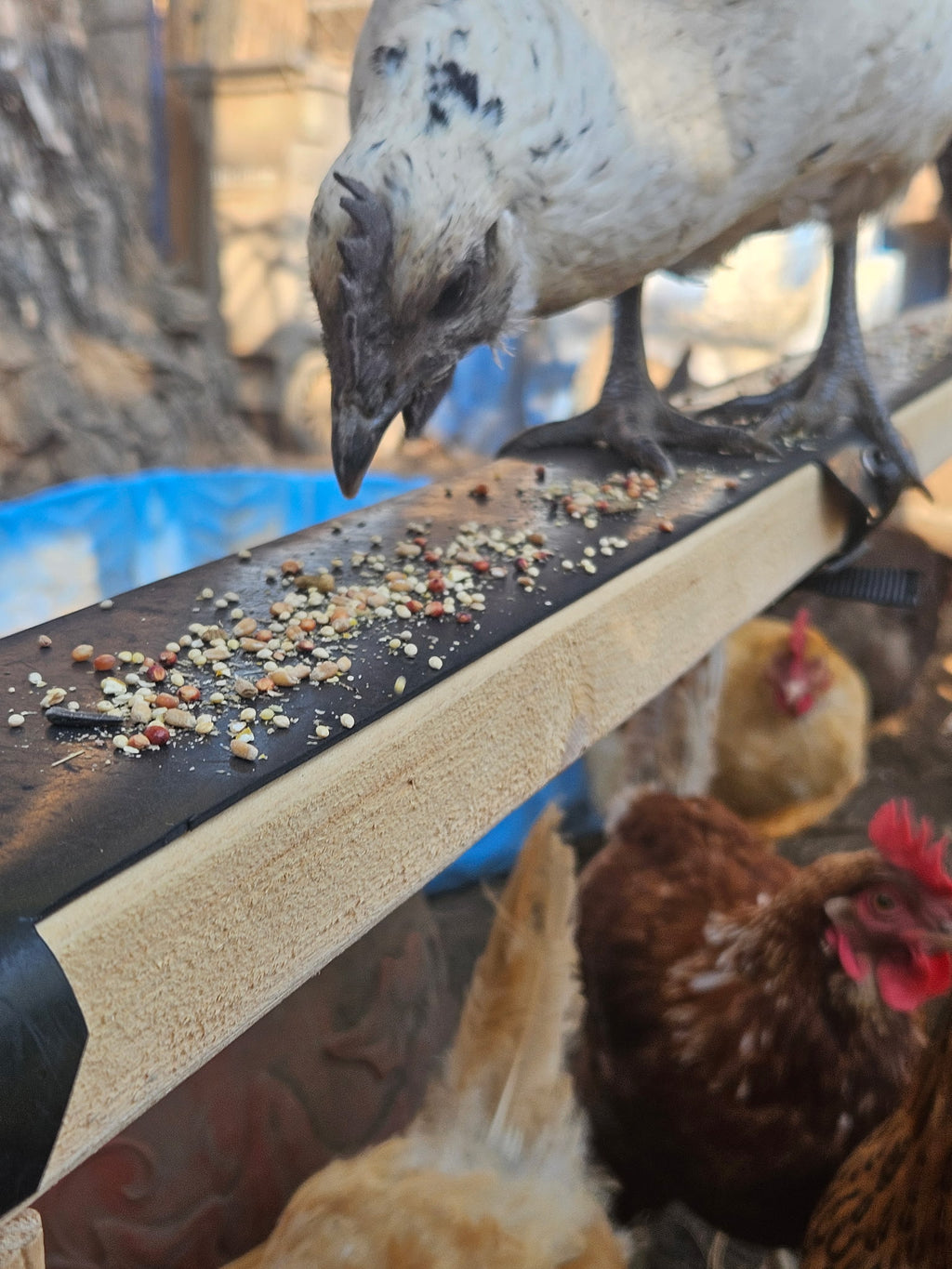 Roosting Bar Cover/Protector