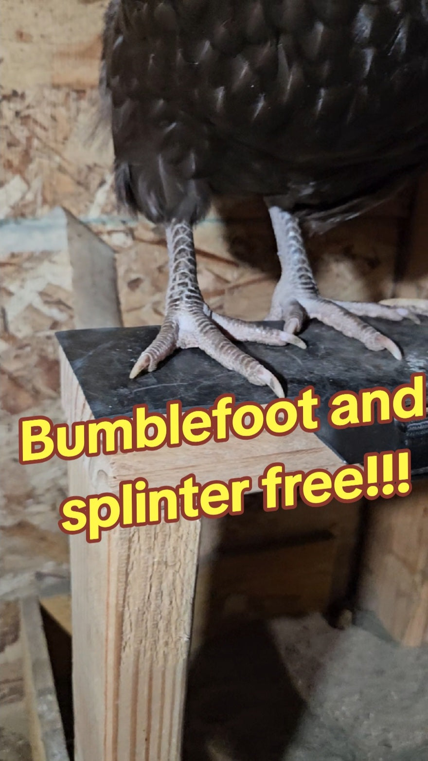 Roosting Bar Cover/Protector