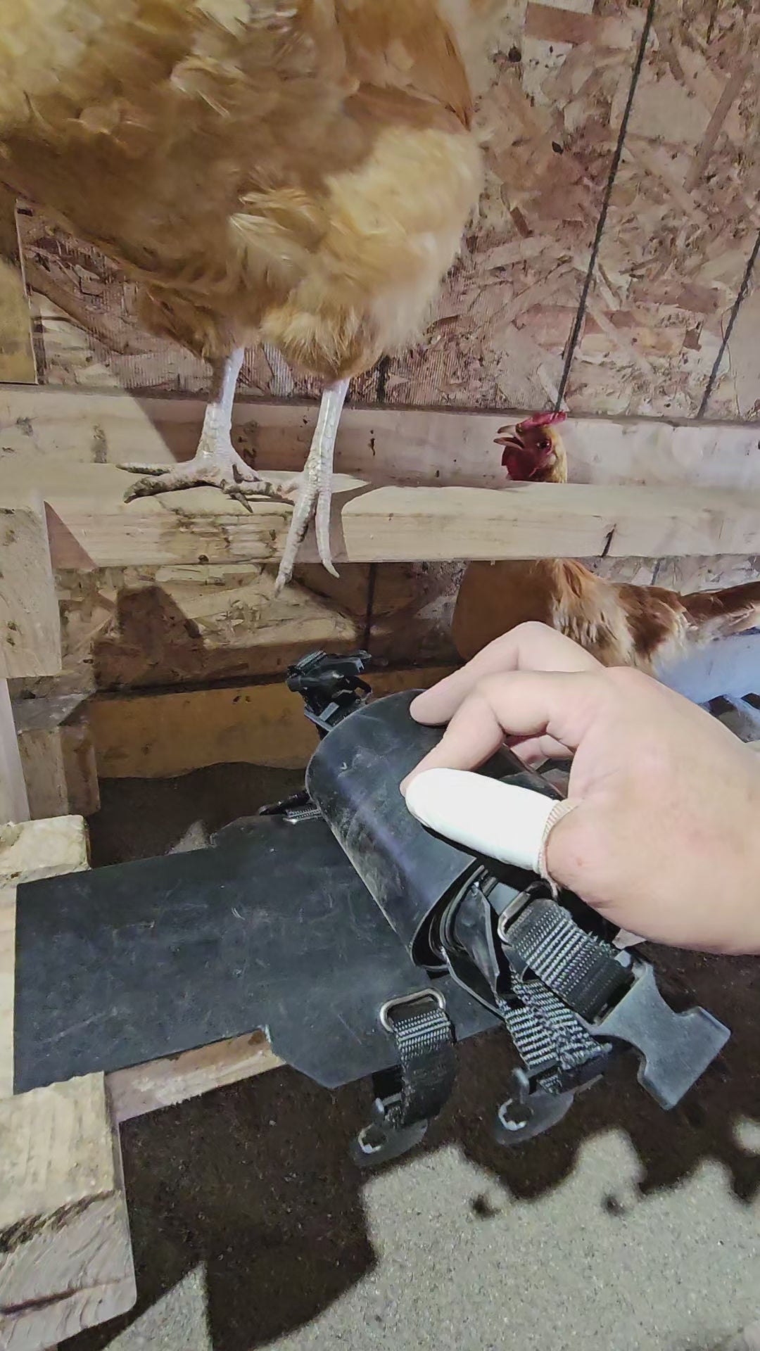 Roosting Bar Cover/Protector